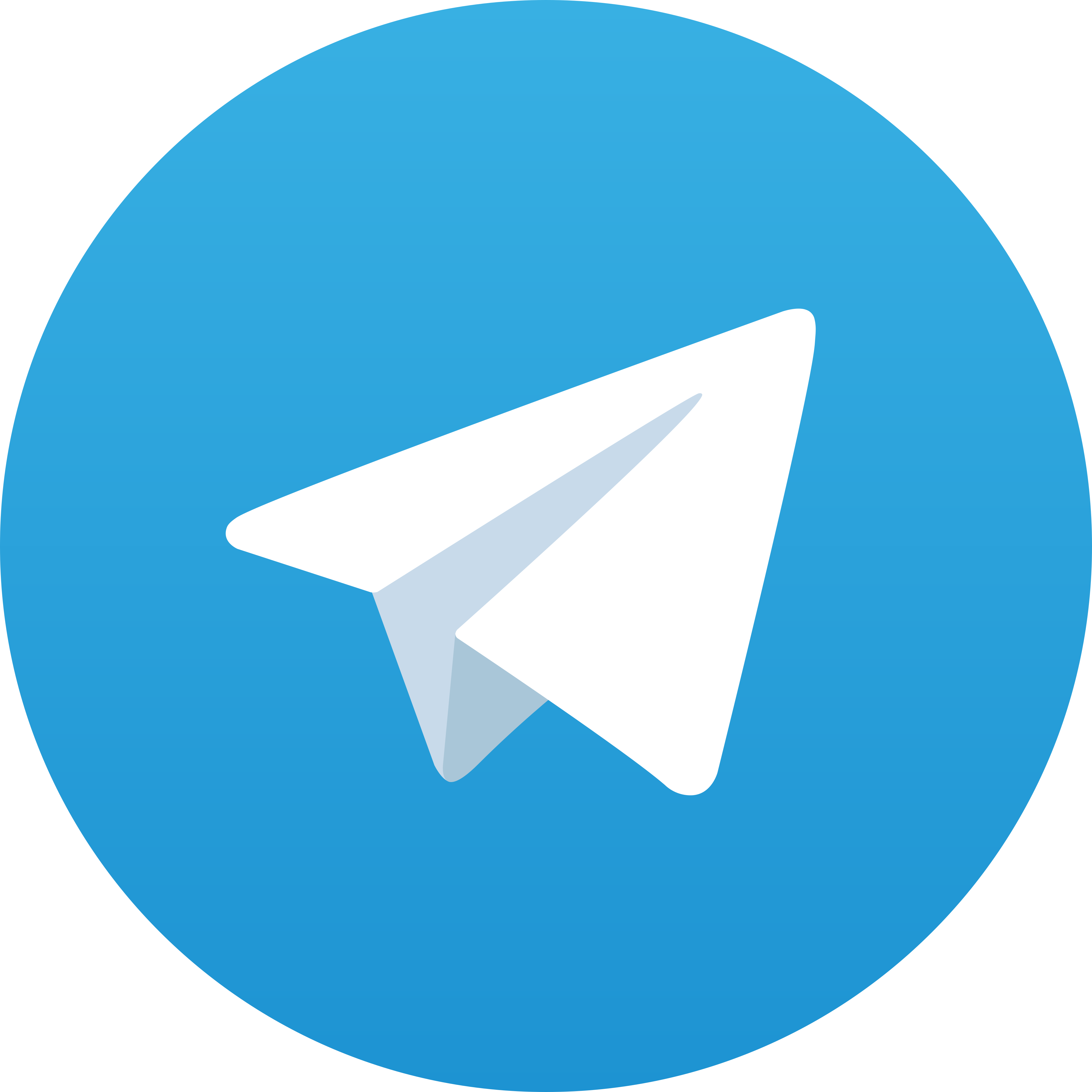 Telegram DUT123